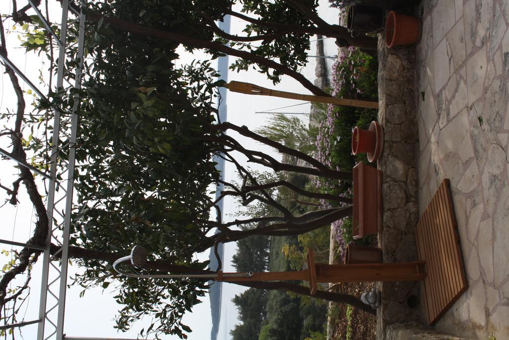 Villa Marijam Hvar Town Extérieur photo